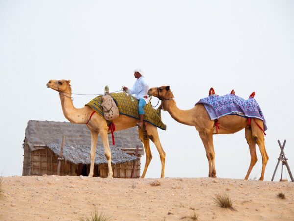 Dubai, Arabien